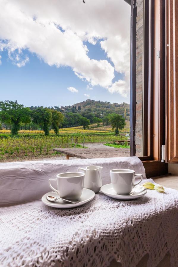 Wine Estate Rooms Paradiso Di Cacuci Монталчино Екстериор снимка